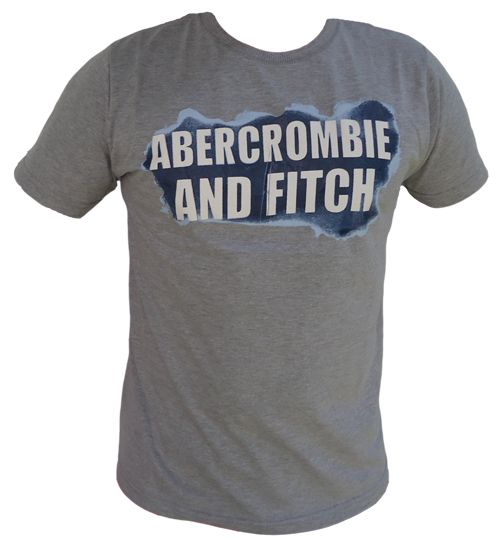 Camisa Abercrombie & Fitch Cinza MOD:A03